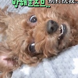 ଈ