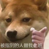 豆友209788884