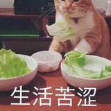 zxz