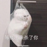 贺繁星