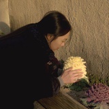 观止幽灵