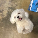 有有