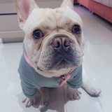 态度先生