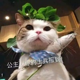 心灵捕手