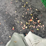 小读
