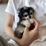 每天都很棒！
