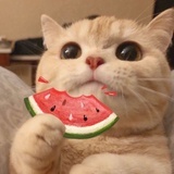 Ceasin
