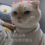女儿郎