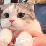 躲在塔下