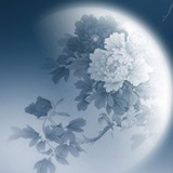 纸上观天地