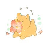 何苦晚