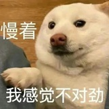 AAA英凤烧饵块