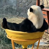 奔跑的少年