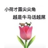 冷血无情杀鱼夫