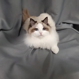 唯爱一人