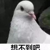 检察官