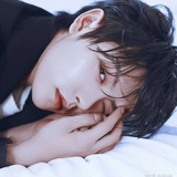 💞是鱼粮鸭🌸