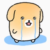 Panierdepuppy