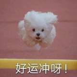 西瓜