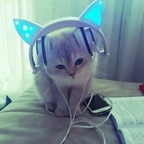 滴滴叭叭