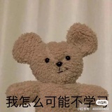 ci今天学习了吗