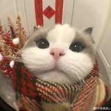 万事珂乐.