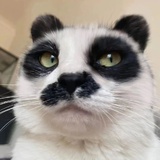 就是打发点时间