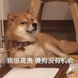 爱吃抄手的芋头