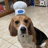 小比