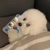 焦糖咖啡星冰乐