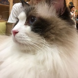 社畜新成员小徐