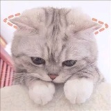 奶糖