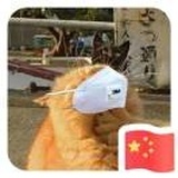 王不谏