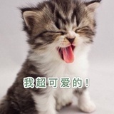 牛奶加yan