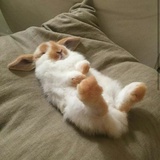 我肯定还在长高