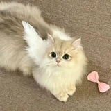 mochi