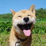 取个啥名字