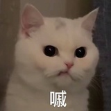 猪猪圆🐷屁