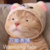 猫猫