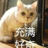 空鹤