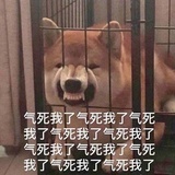 小冷酷露卡腻酱
