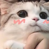 泡芙
