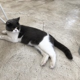 小小-云朵儿
