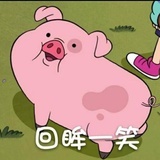 兔子🌿兔牙🦷