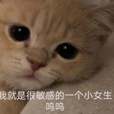 奥利奥