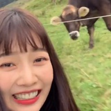 来一块草皮我啃