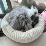 姚一一