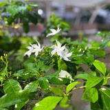 草涧食舍