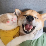 太阳鱼MiuMiu