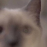 拾宜